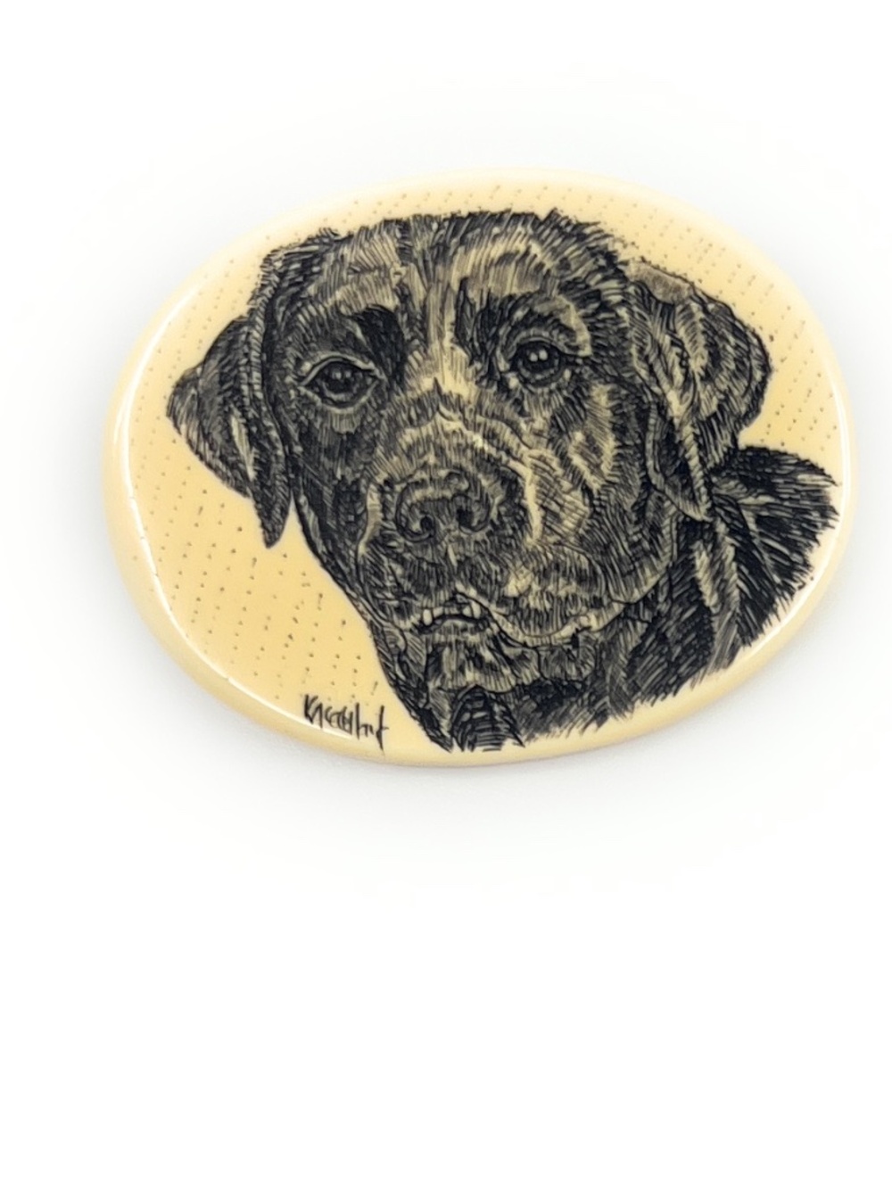 Black Lab Labrador Dog Pin Brooch Necklace Kim McClelland Scrimshaw Resin NEW